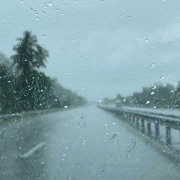 Profile photo of akila